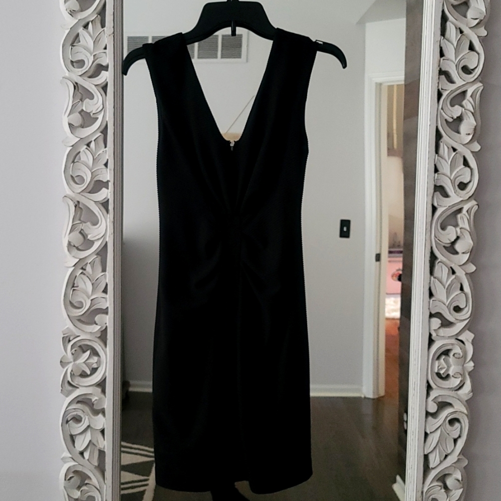 Express V-Neck Dress